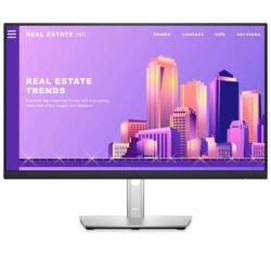 Dell P2422H 23.8 inches FHD Monitor